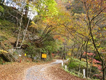 金袋山入口