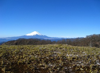 花立から見る富士山