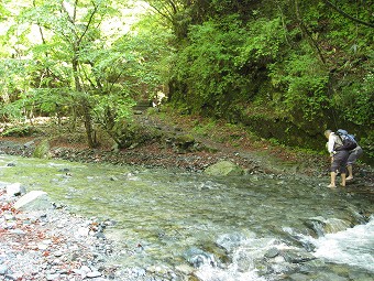 用木沢