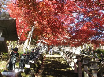 大山寺の紅葉
