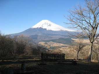 黒岳から見る富士山