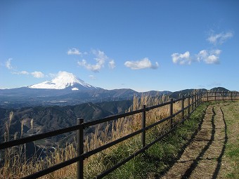 富士山見つつ