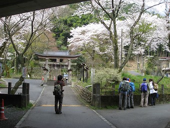 高尾　氷川神社