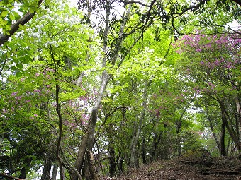 三ツドッケ山頂へ