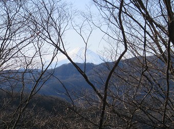 大ブナ尾根から富士山