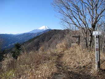 菜畑山からの富士山