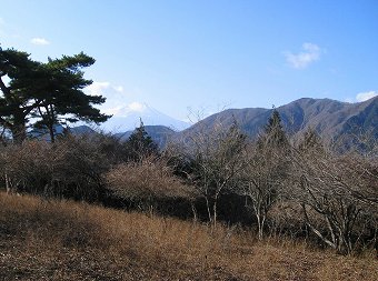 櫟山からの富士山