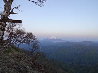 檜洞丸からの富士山