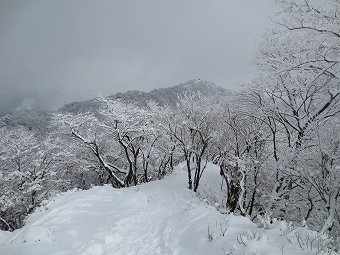 塔ノ岳　雪景色