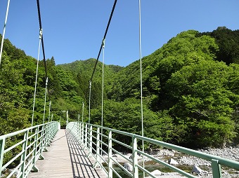 西丹沢　吊り橋