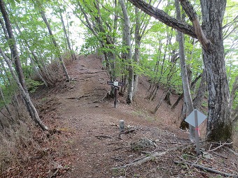 鳥屋戸尾根分岐