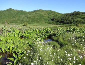 黒沢池