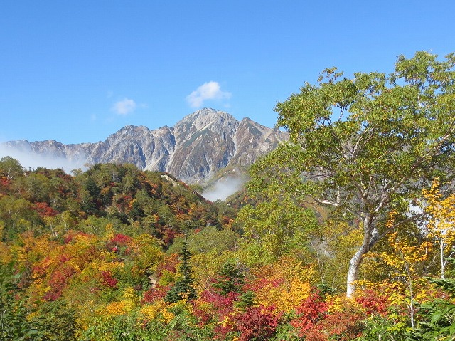 五竜岳と黄葉紅葉