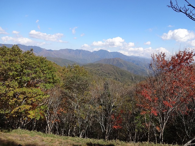 藤尾山と飛竜山