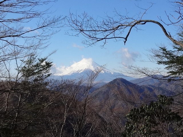 展望園地から見る富士山