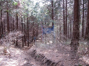 高篠県造林の青看板
