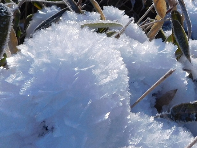 氷の花