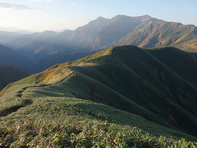 谷川岳と1596mの笹原