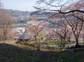 城山公園　桜の小道