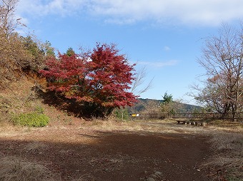 ヤビツ山荘跡地