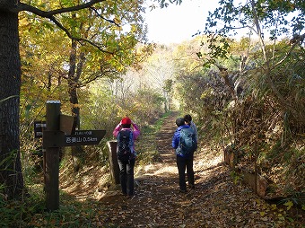 石標「弘法山ハイキングコース」