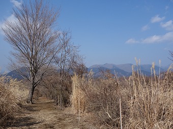 松田山みどりの風自然遊歩道