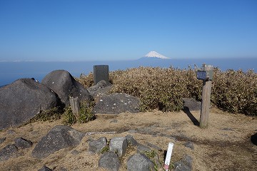 達磨山　山頂