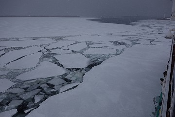 沿岸氷でも、流氷は流氷
