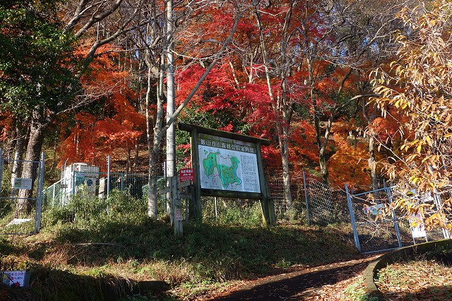 飯山白山森林公園