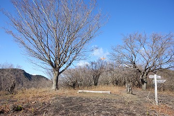 タケ山展望台