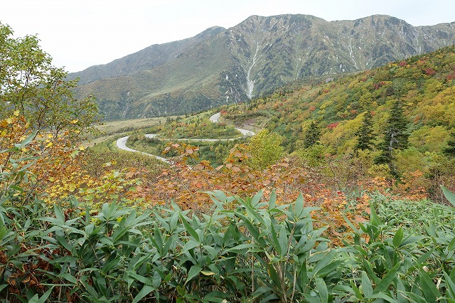 大日岳と立山道路