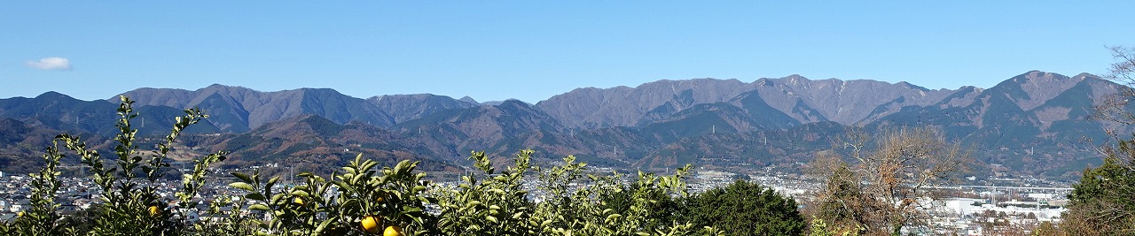 渋沢丘陵から見る丹沢
